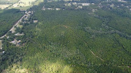 Hunting Land for sale in Mobile County, Alabama