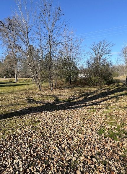 Undeveloped Land for sale in Aitkin County, Minnesota