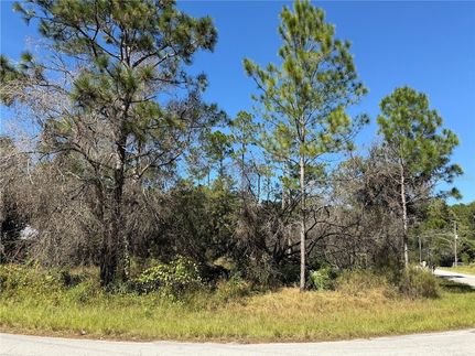 Undeveloped Land for sale in Pasco County, Florida