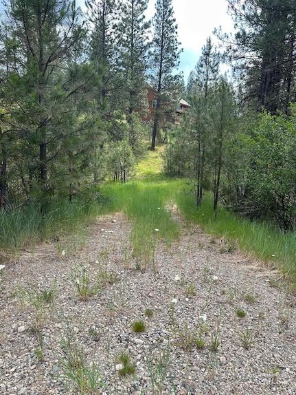 Property for sale in Boise County, Idaho
