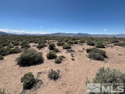 Undeveloped Land for sale in Lyon County, Nevada