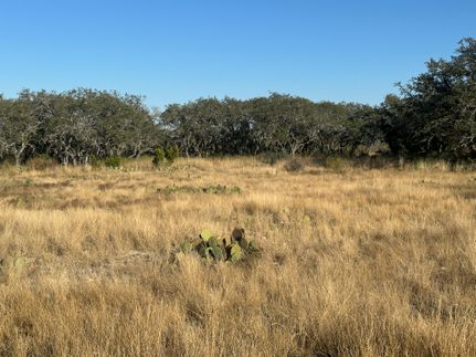 Property for sale in Sutton County, Texas