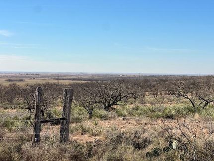 Property for sale in Mitchell County, Texas