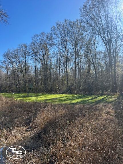 Property for sale in George County, Mississippi
