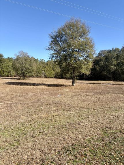 Property for sale in Butler County, Alabama