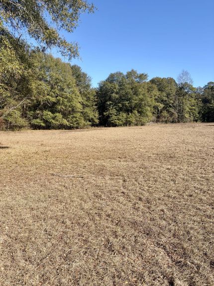 Property for sale in Butler County, Alabama