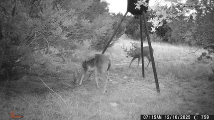 Property for sale in Comanche County, Texas