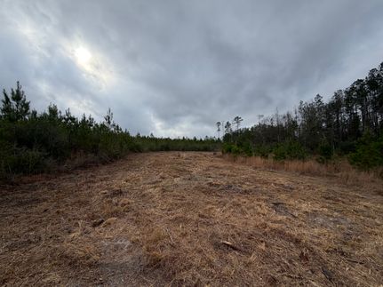 Property for sale in Washington County, Alabama