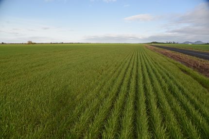 Property for sale in Linn County, Oregon