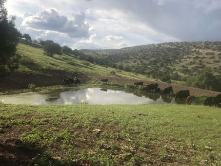 Ranch Property for sale in Grant County, New Mexico