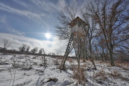 Hunting Land for sale in Adams County, Wisconsin