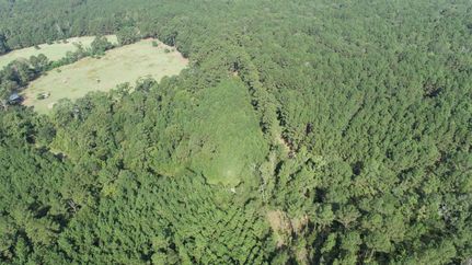 Property for sale in Sabine County, Texas