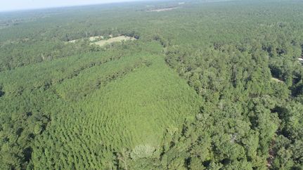 Undeveloped Land for sale in Sabine County, Texas