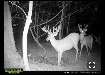 Property for sale in Wayne County, Illinois