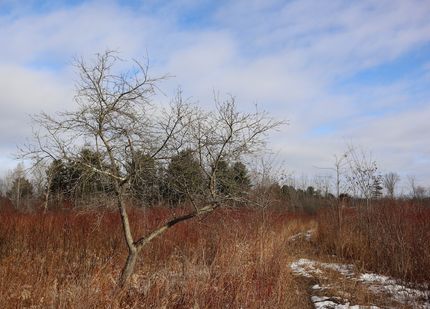 Property for sale in Montgomery County, New York