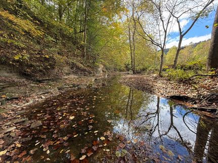 Property for sale in Breathitt County, Kentucky