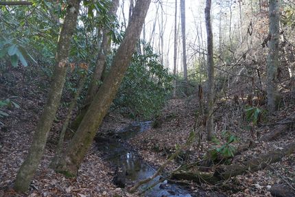 Property for sale in Lee County, Virginia