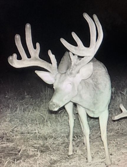 Property in Bourbon County, Kentucky