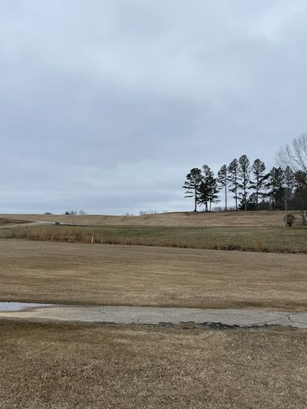 Property for sale in Decatur County, Tennessee