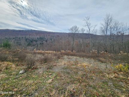Property for sale in Schoharie County, New York