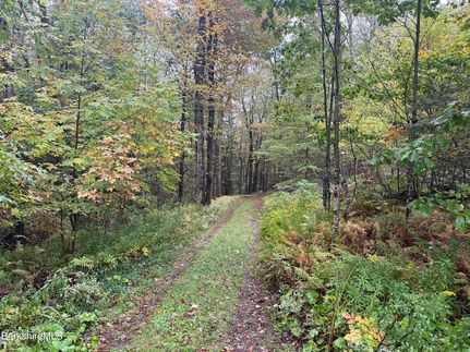 Property for sale in Berkshire County, Massachusetts