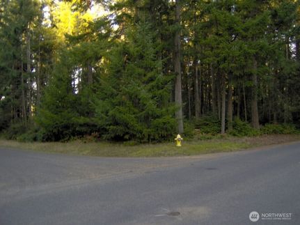 Undeveloped Land for sale in Pierce County, Washington
