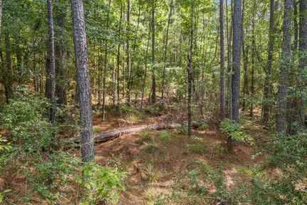 Property for sale in Trinity County, Texas