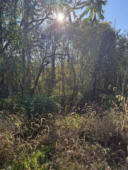 Property for sale in Shenandoah County, Virginia