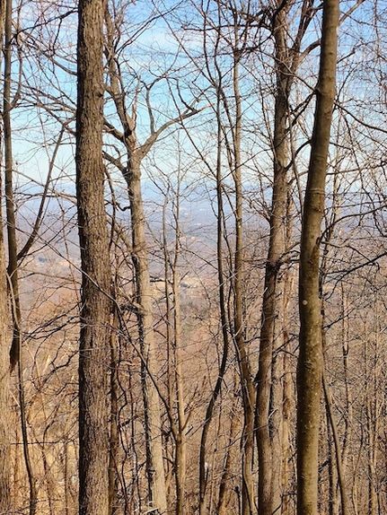 Property for sale in Roanoke County, Virginia