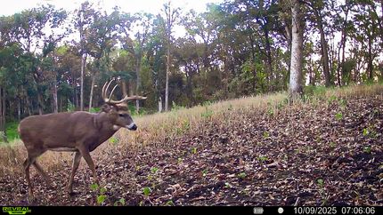 Property for sale in Trempealeau County, Wisconsin