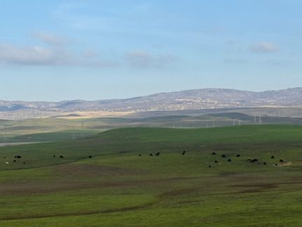 Undeveloped Land for sale in Stanislaus County, California