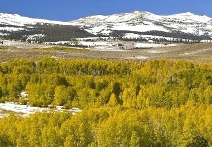 Property for sale in Clark County, Nevada