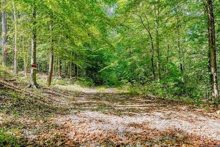 Undeveloped Land for sale in Pickett County, Tennessee