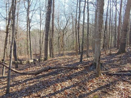 Property for sale in Franklin County, Virginia