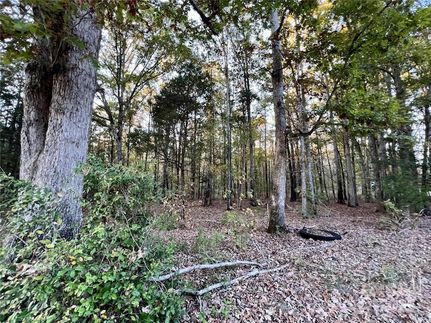 Undeveloped Land for sale in Lancaster County, South Carolina