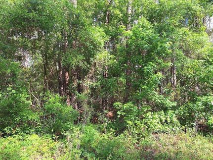 Undeveloped Land for sale in Dixie County, Florida