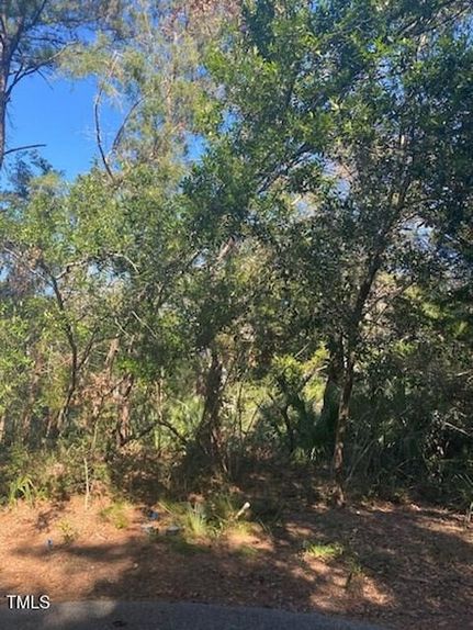 Property for sale in Brunswick County, North Carolina