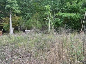 Property for sale in Gasconade County, Missouri