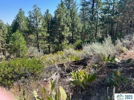 Property for sale in Modoc County, California