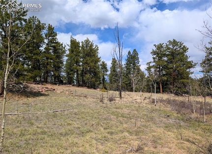 Property for sale in Park County, Colorado