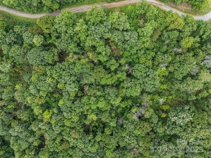 Undeveloped Land for sale in Rutherford County, North Carolina