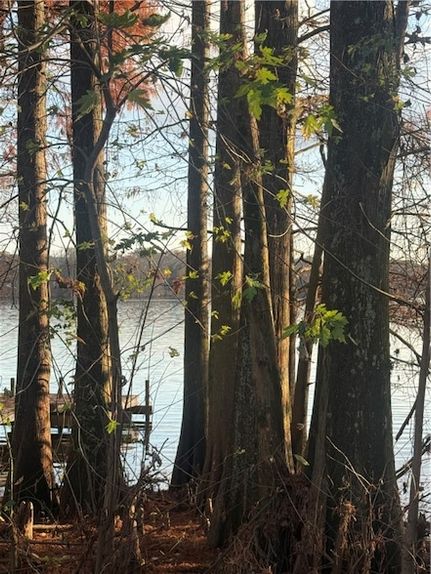 Undeveloped Land for sale in Pope County, Arkansas