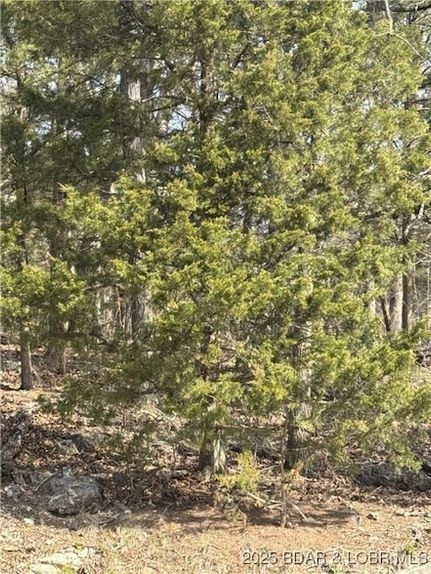 Property for sale in Camden County, Missouri