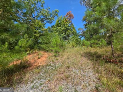 Property for sale in Gilmer County, Georgia