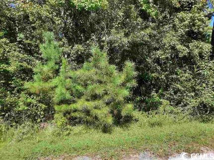 Property for sale in Williamsburg County, South Carolina