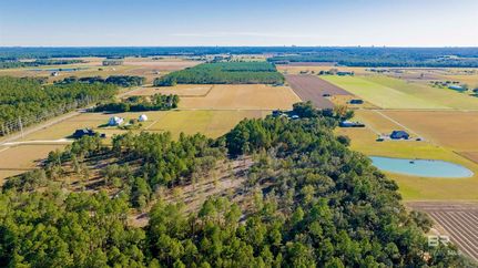 Undeveloped Land for sale in Baldwin County, Alabama