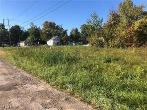 Undeveloped Land for sale in Lorain County, Ohio