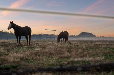 Property for sale in Bedford County, Tennessee