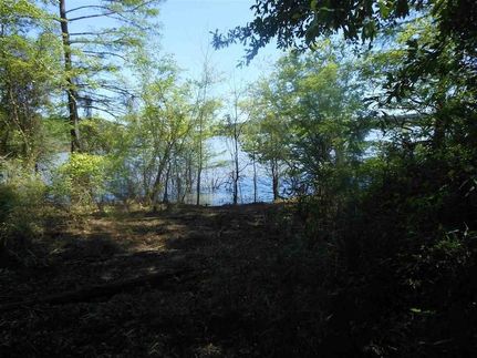 Undeveloped Land for sale in Sabine County, Texas
