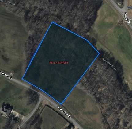 Undeveloped Land for sale in Henry County, Tennessee